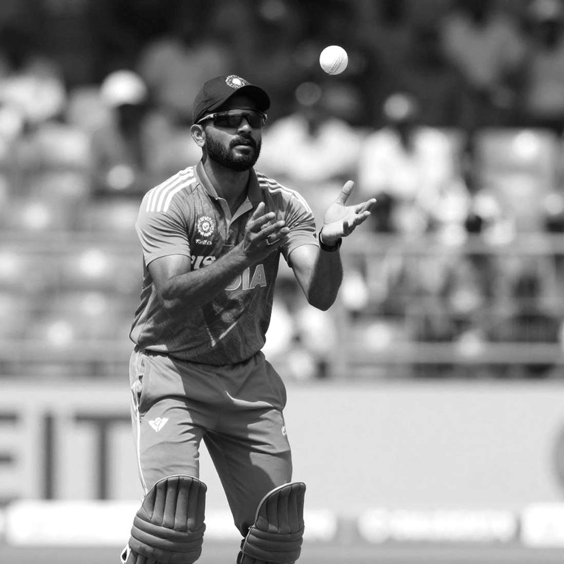 When the Analysis Pipeline Returns Empty: Why Process Auditing Matters in Cricket Data Analysis